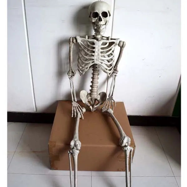 170cm tall plastic skeleton prop with movable jaw for Halloween decorations and educational displays