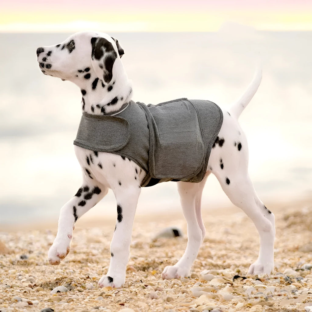 Heather grey dog anxiety jacket warm vest in brocade cotton ponte-de-roma fabric