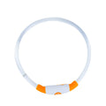 Blue USB rechargeable LED dog collar glowing with adjustable strap and USB charging port