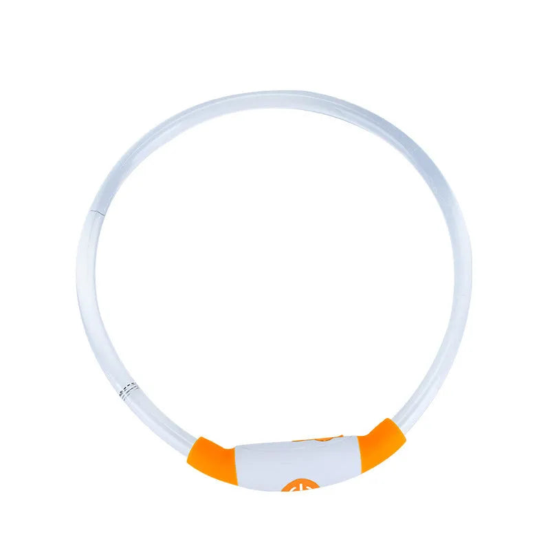 Blue USB rechargeable LED dog collar glowing with adjustable strap and USB charging port