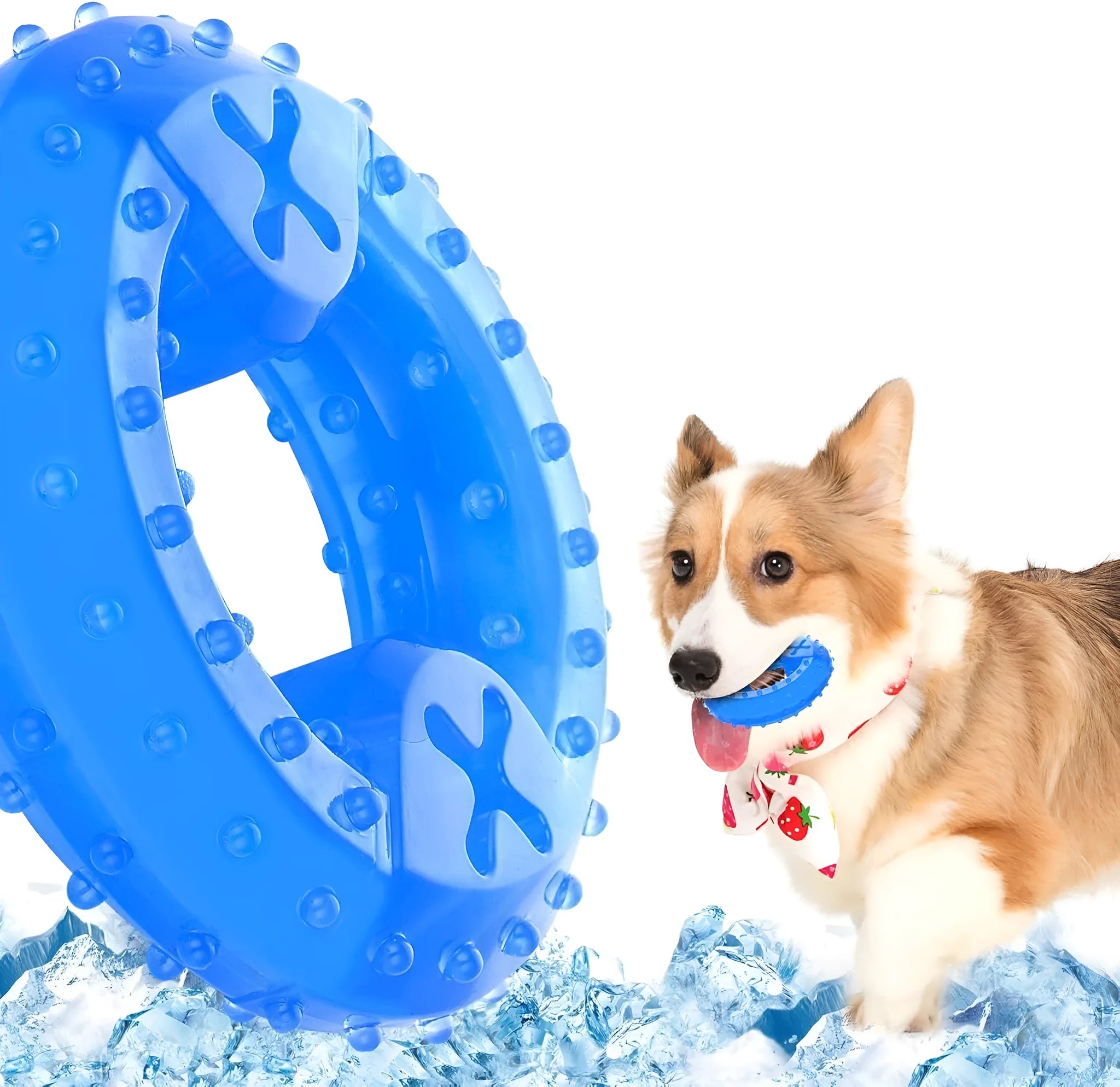 Freezable bone-shaped dog teether chew toy shown next to a circle-shaped version, both with treat-filling holes.
