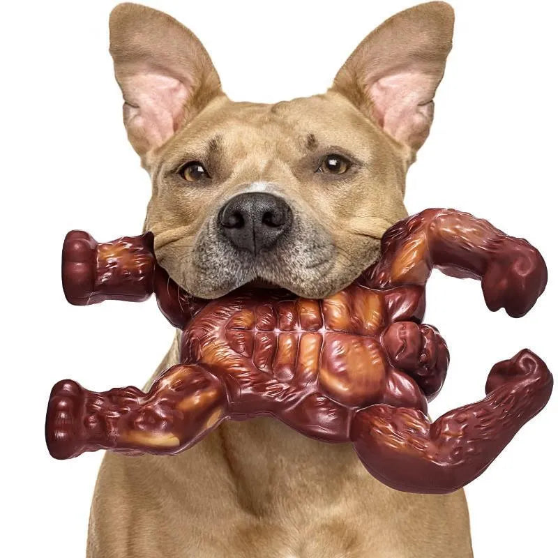 Scarlet nylon dog chew toy with beef flavour for dental cleaning