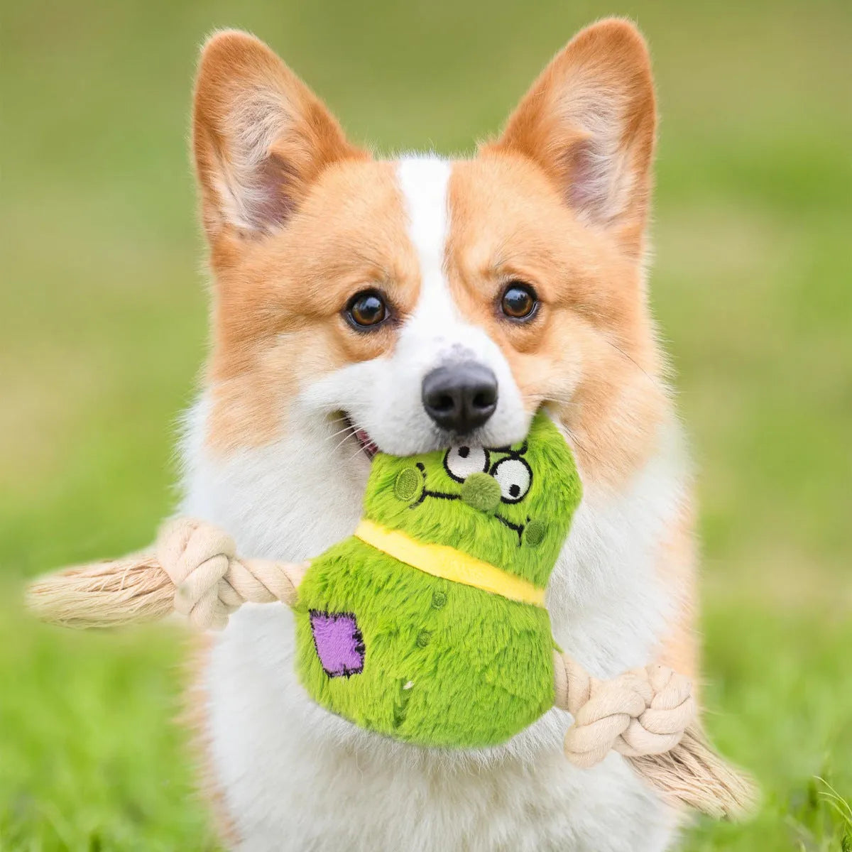 Interactive plush rope knot dog toy for tug of war games with bite-resistant design