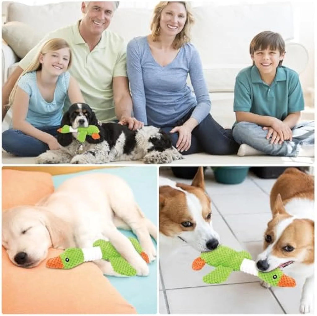 Blue duck plush dog toy with squeakers measuring 33cm long
