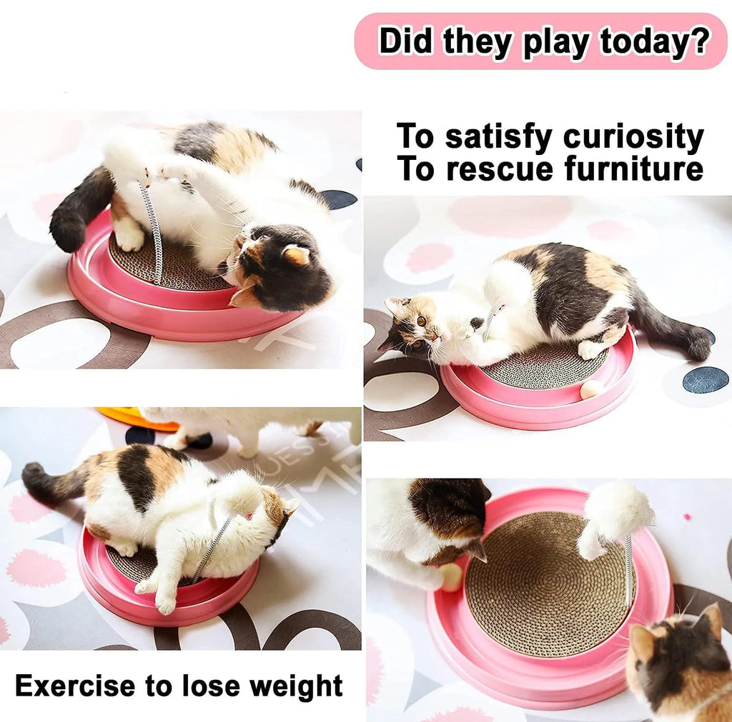 Blue and pink interactive cat scratcher toy with ball track and mouse swatter on a round base.