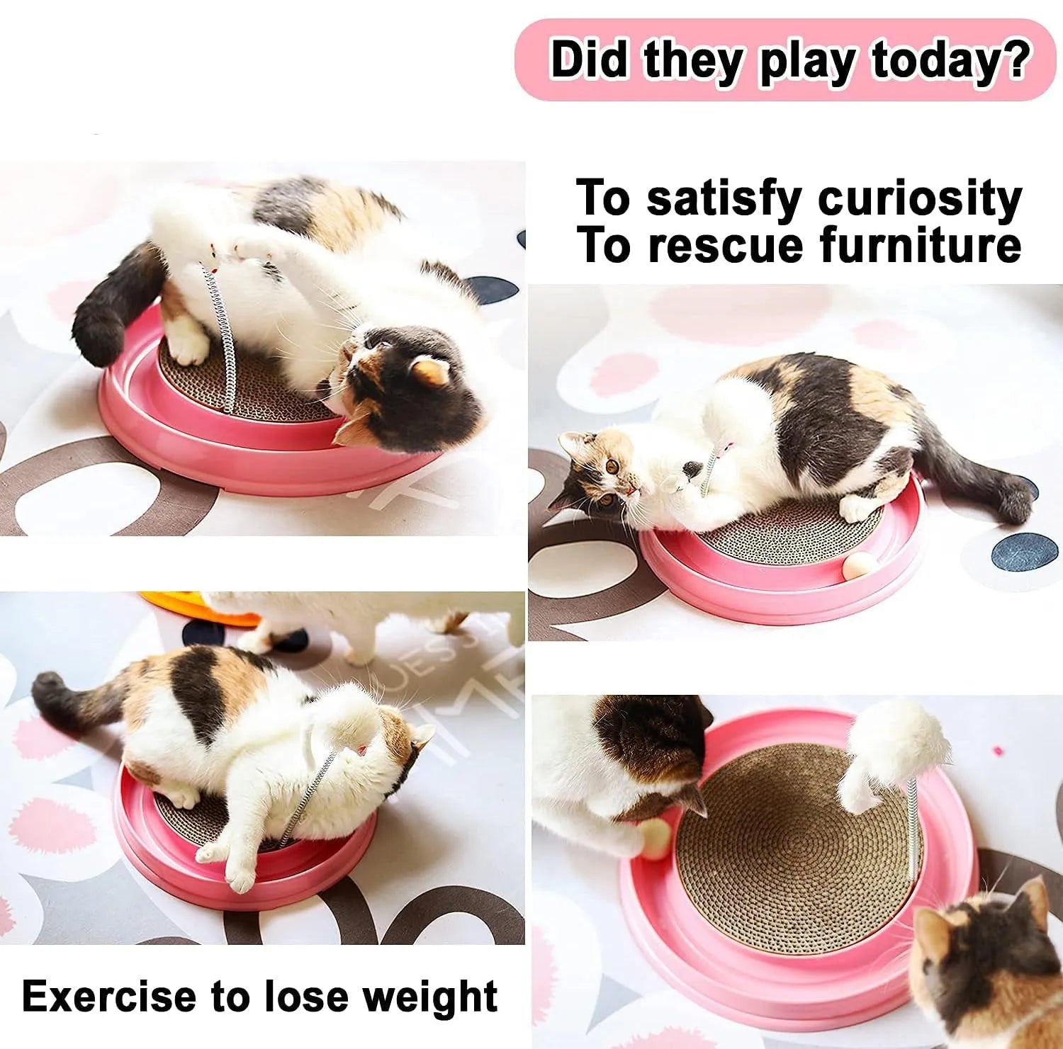 Blue and pink interactive cat scratcher toy with ball track and mouse swatter on a round base.