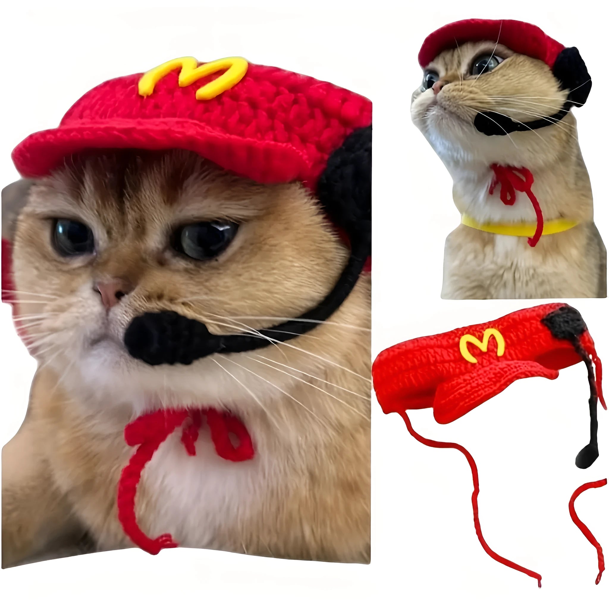 Handmade chef hat and cotton knitted sweater on a small cat for a birthday costume