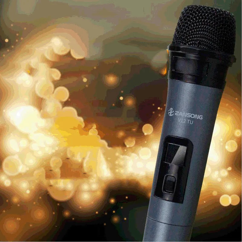 Black dynamic microphone V12 with heart pattern for computer and stage audio applications