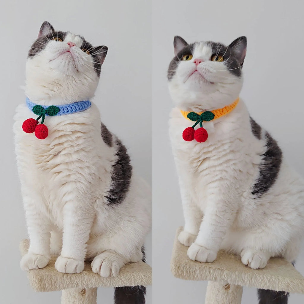 Handmade knitted cat collar in cotton thread with fruit pattern, free size 60cm, princess style