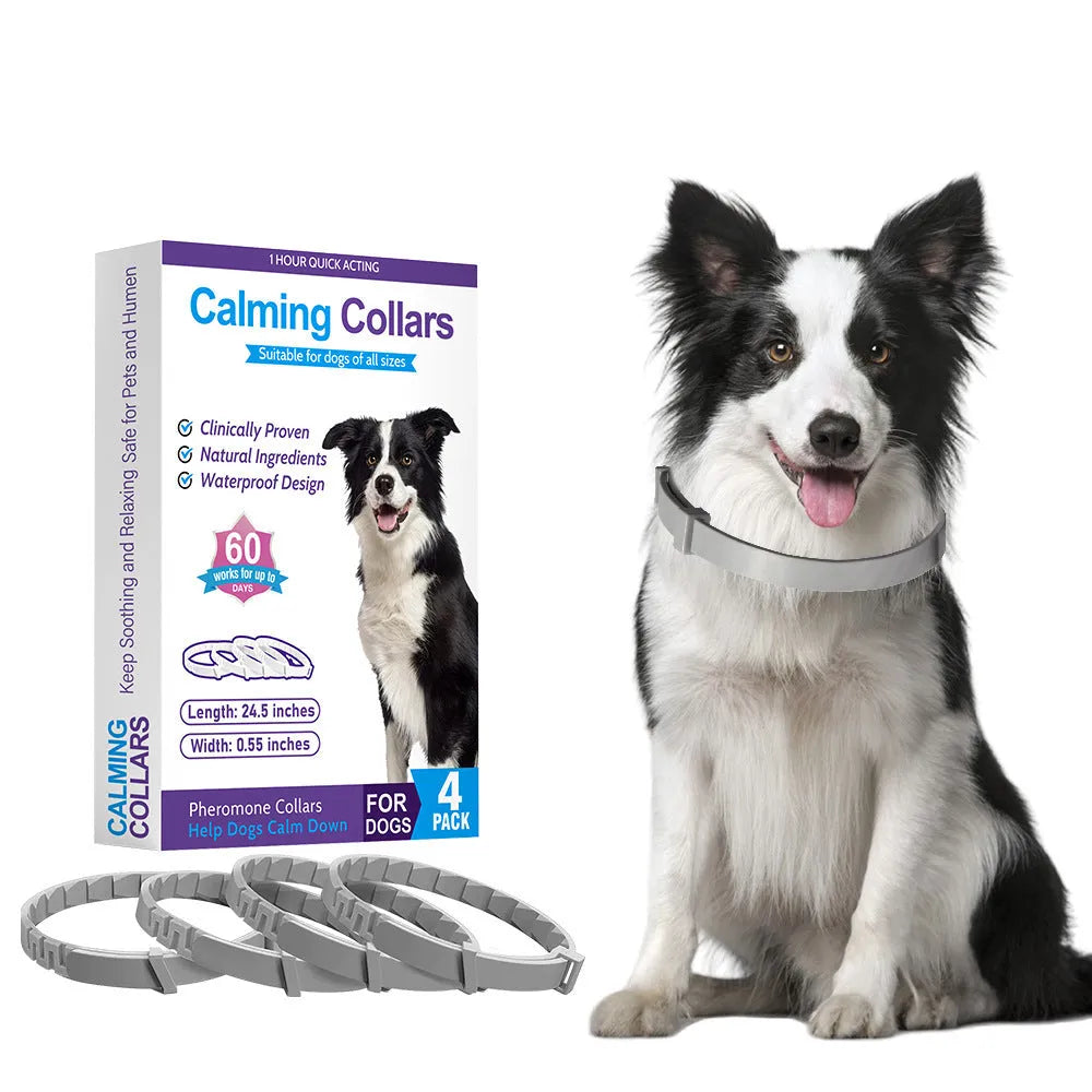 Four dog anxiety relief collars in different colours with Chinese-style patterns and adjustable clasps