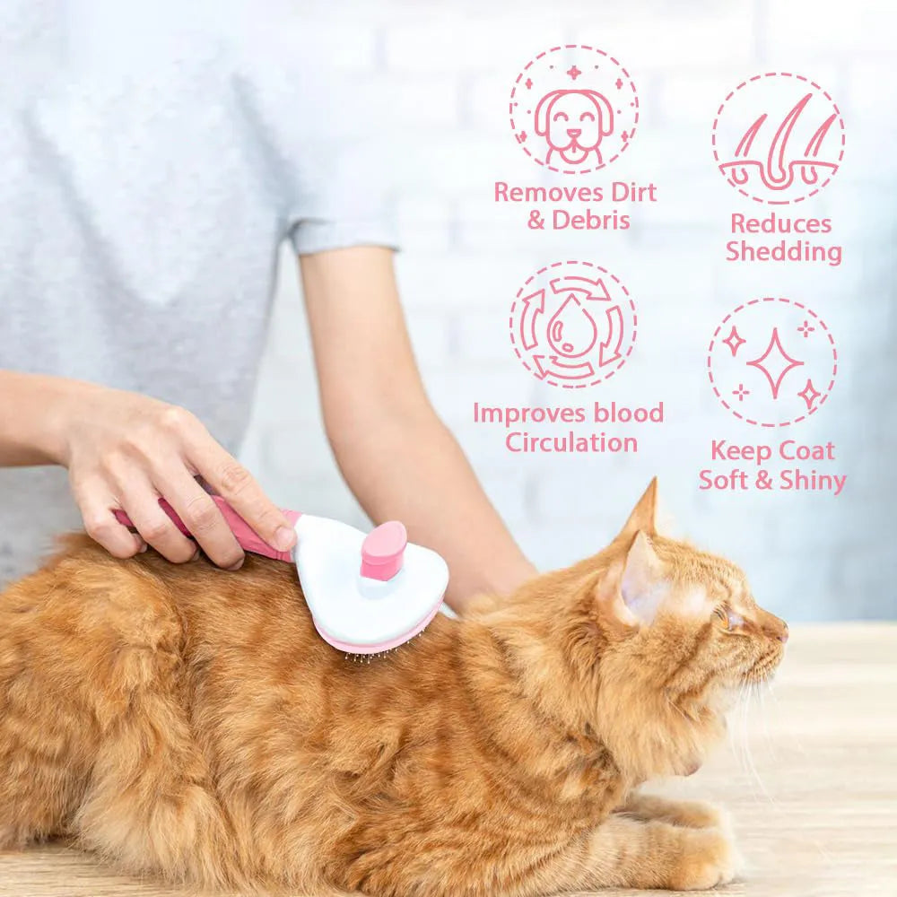 Cat grooming brush with release button in blue, grey, or pink colours for removing loose hair