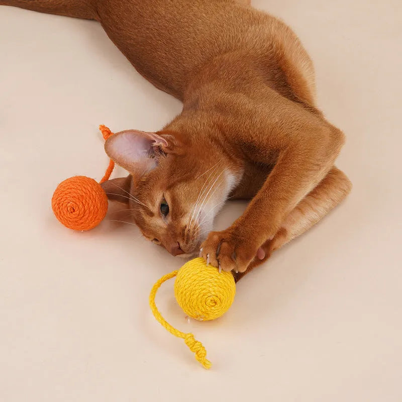 Blue and green cat toy set with a teaser stick and a catnip ball on a white background.