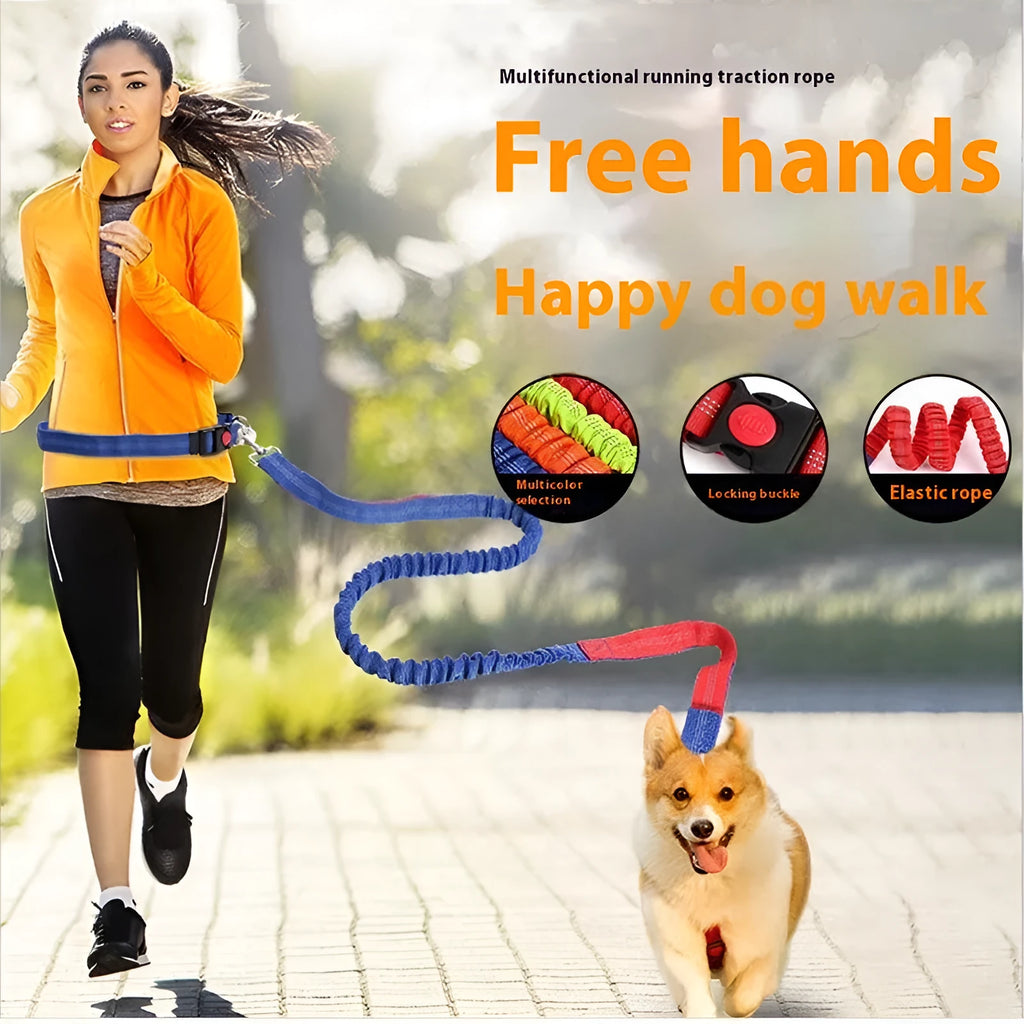 Outdoor running dog leash with elastic night reflective filament sling in multiple colour combinations