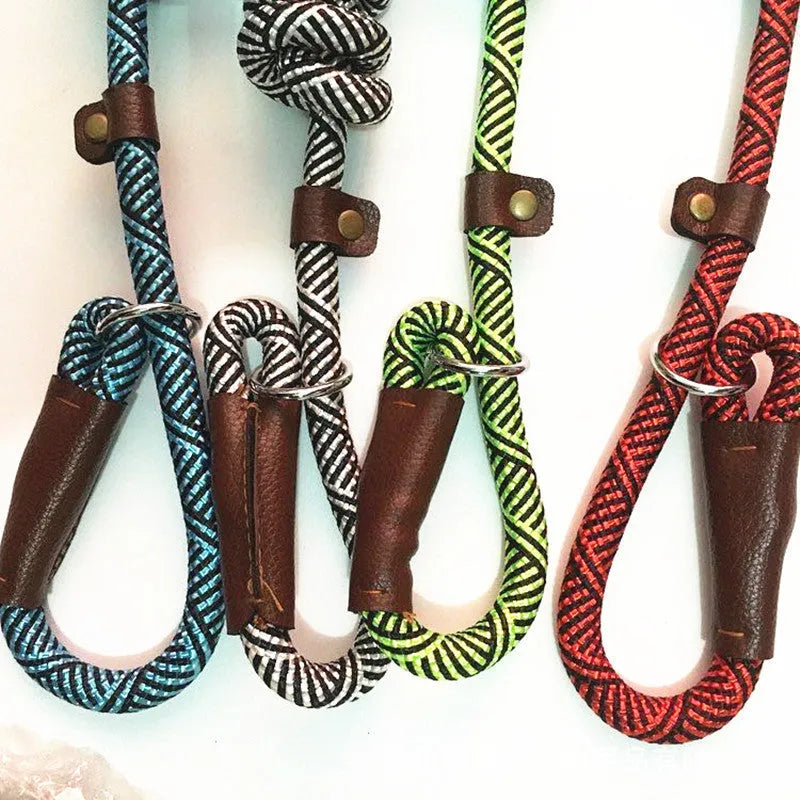 Nylon dog training leash 160cm length 1.2cm width in blue for medium dogs