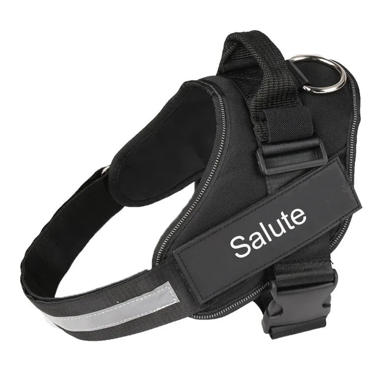 Adjustable no-pull dog harness with reflective strips and a sturdy handle on a dog.