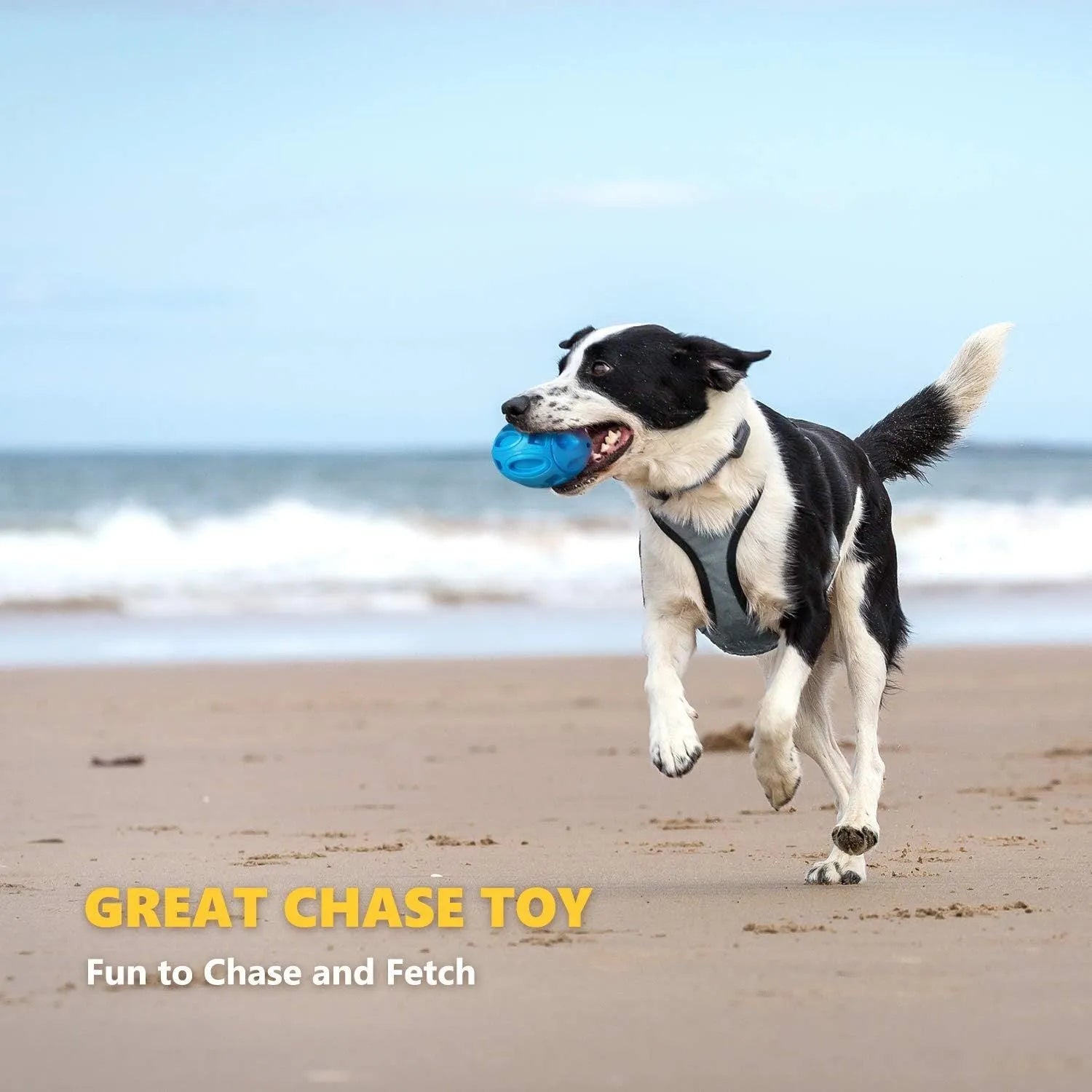 Natural rubber squeaky dog chew toy for aggressive chewers in blue, green and orange colour options