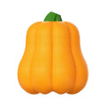 Bite Molar plastic dog fetch toy in single pumpkin colour with rope attachment
