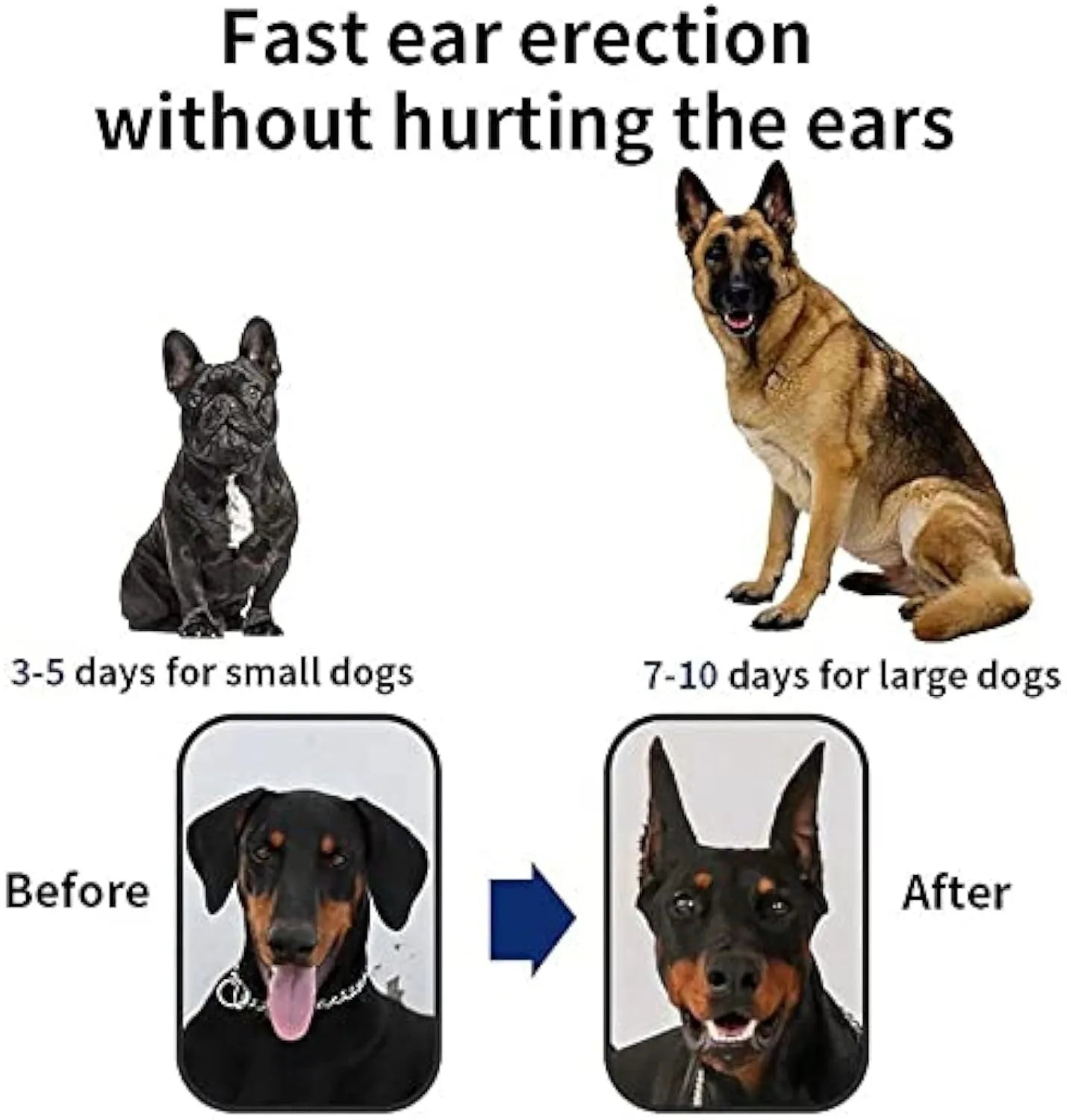 Set of dog ear support stickers in seven sizes from XS to XXXL for puppy ear correction, with calcium patch