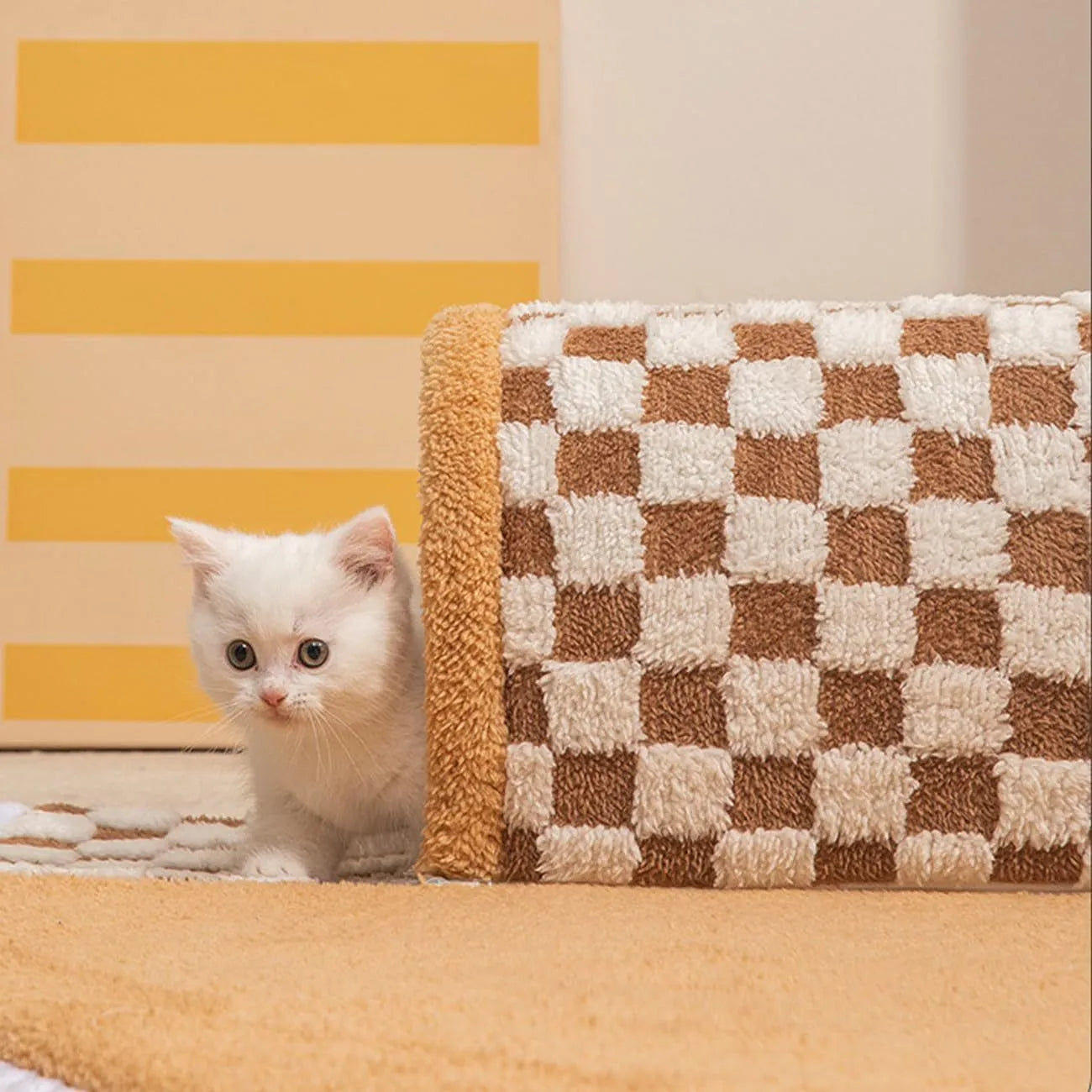 Fan-shaped plush pet bed tunnel for cats and dogs in 80x80x20cm size