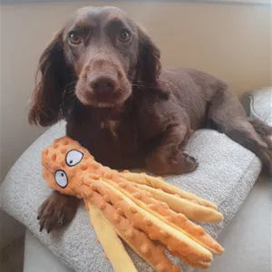 Blue octopus-shaped dog squeaky toy with no stuffing and crinkle sounds for chewing