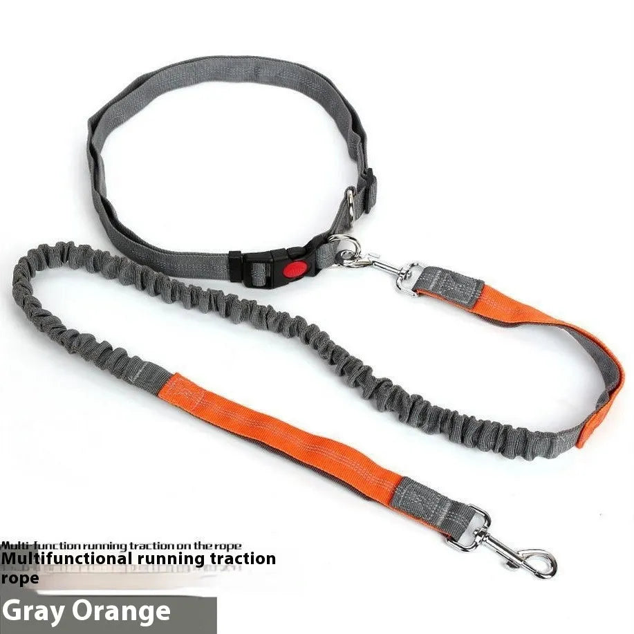 Outdoor running dog leash with elastic night reflective filament sling in multiple colour combinations
