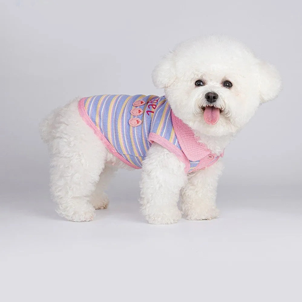 Small pink purple dog vest autumn clothing shown on mannequin with size chart