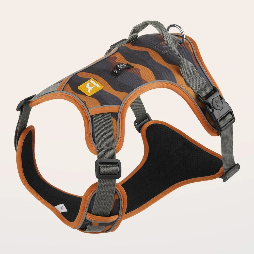 Orange Oxford cloth dog harness with reflective rope on a dog's chest and back