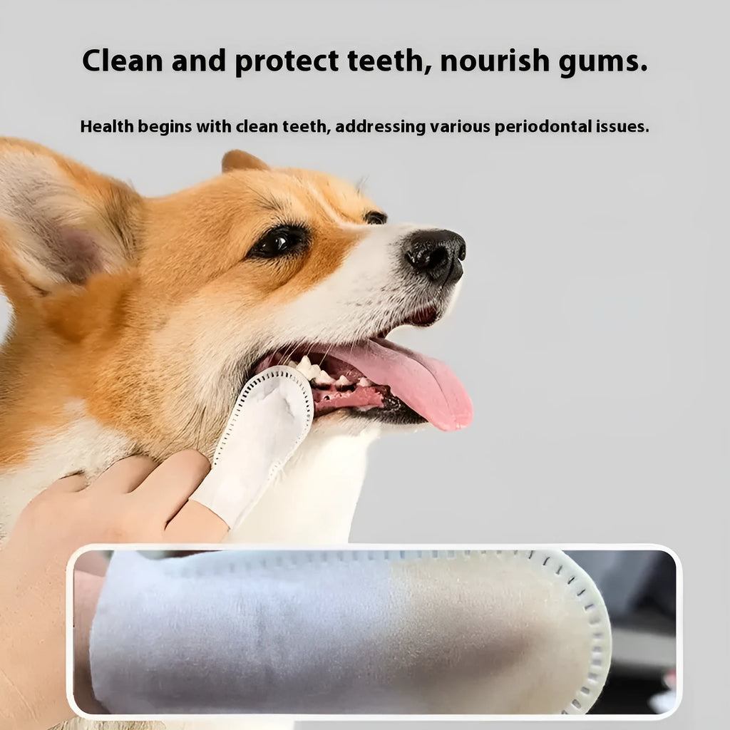 Pack of 50 white non-woven fabric pet dental finger cots for cleaning cat and dog teeth.