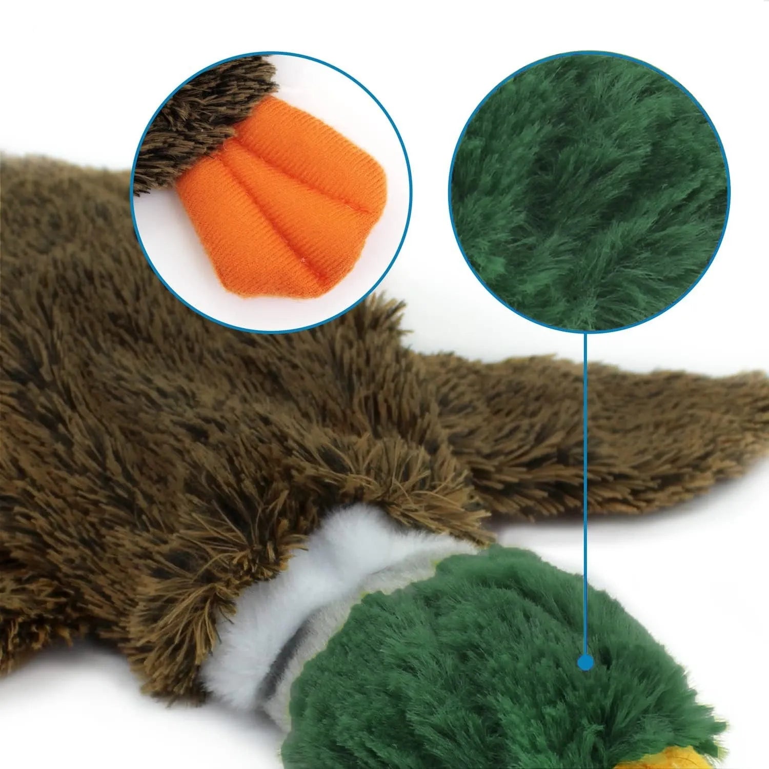 Green wild duck design stuffless squeaky dog toy with fabric plush material.