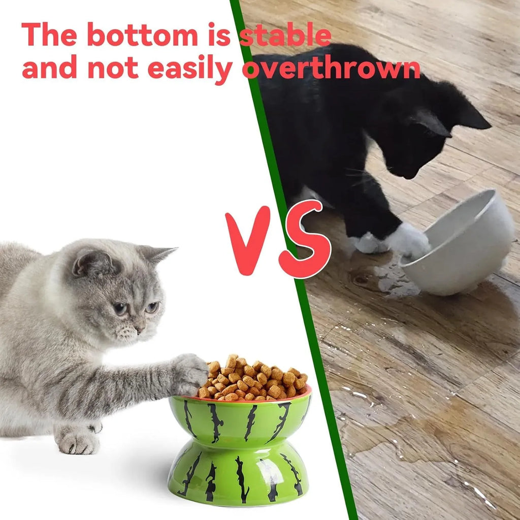 Ceramic raised cat bowl in orange with tilted design for food and water
