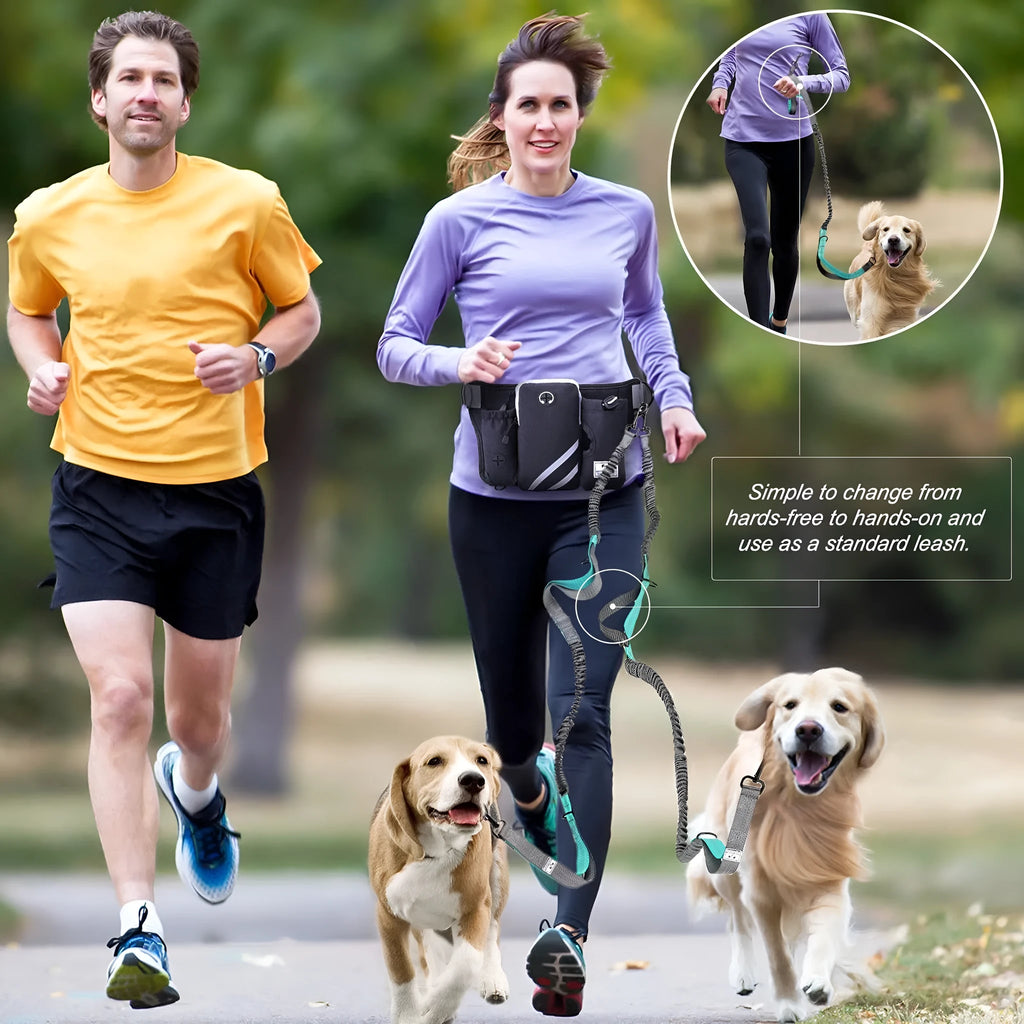 Black nylon dog walking waist bag with integrated leash and collar set for outdoor use