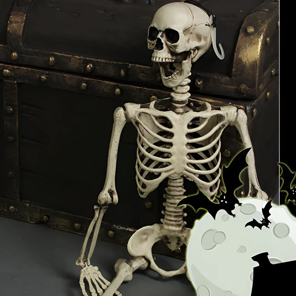 170cm tall plastic skeleton prop with movable jaw for Halloween decorations and educational displays