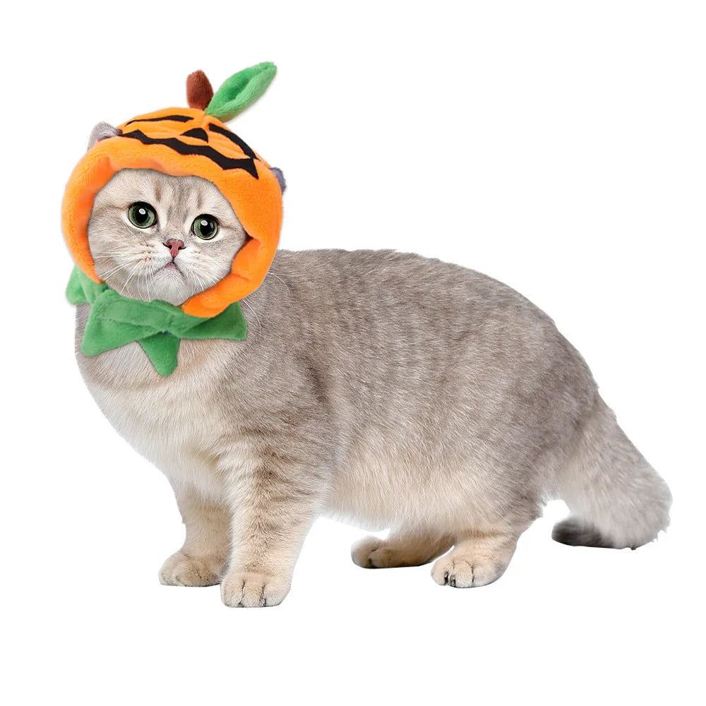 Reversible Halloween pumpkin pet cloak showing two pattern sides, plush material, S M L sizes