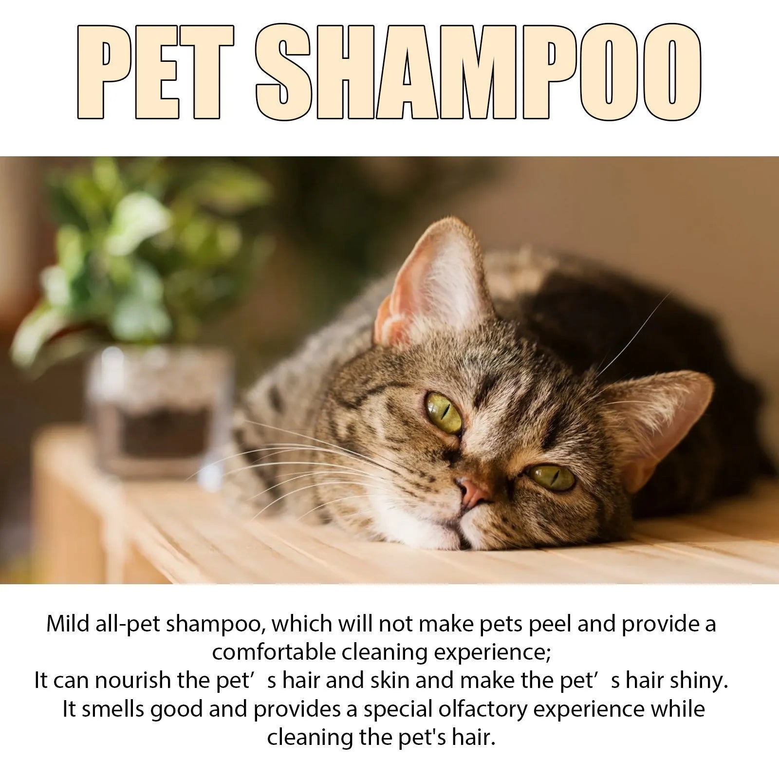 Pet shampoo bottle for dogs and cats in 100ml and 300ml sizes for mild cleansing