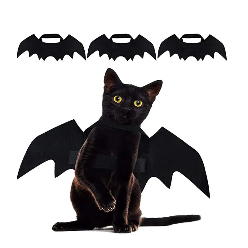 Black felt bat wings for a cat with adjustable Velcro straps, Halloween pet accessory