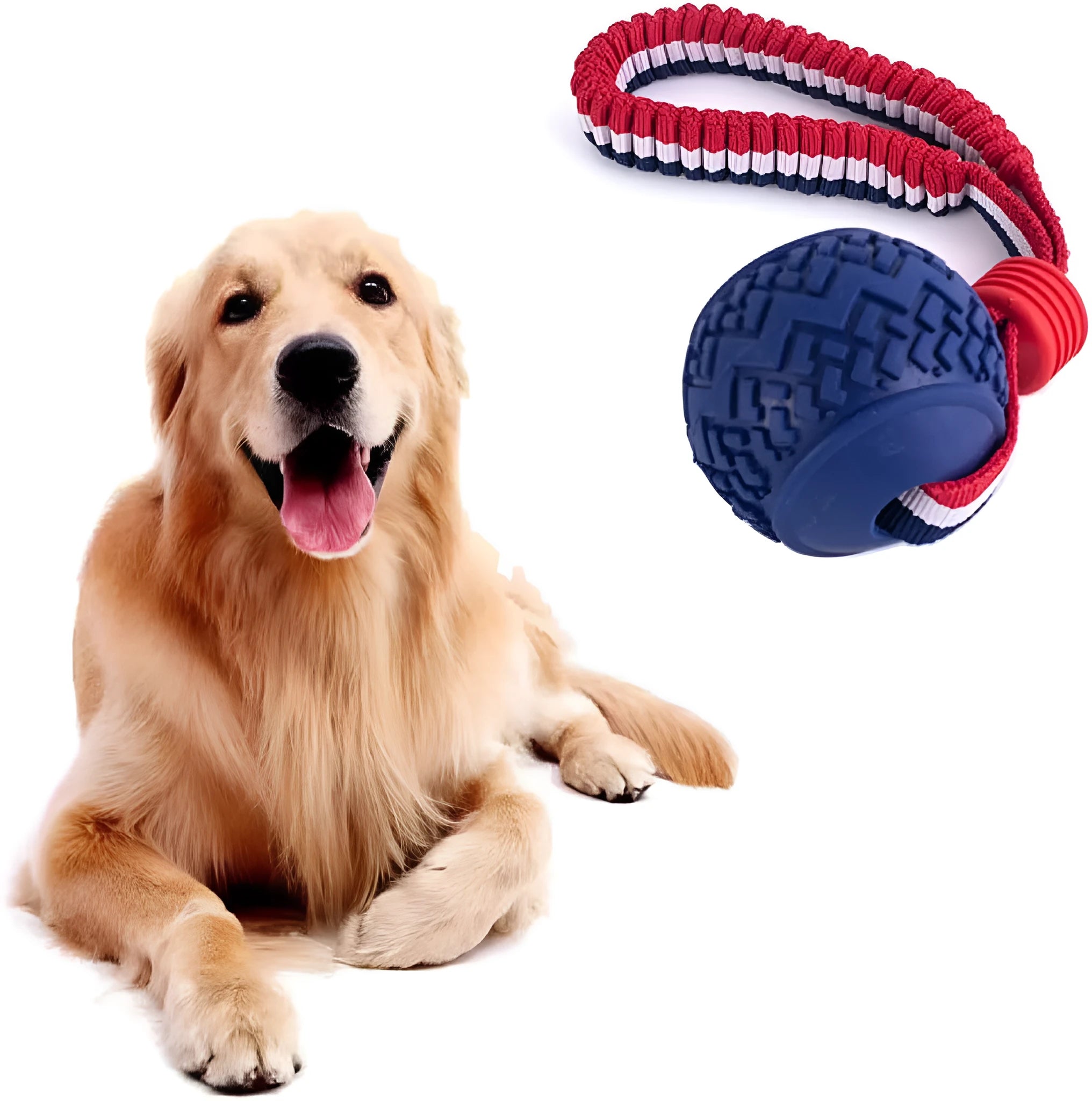 Blue natural rubber dog ball with rope attachment for small medium dogs