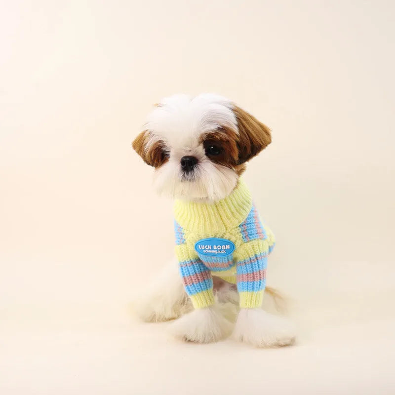 Blue and yellow striped wool dog sweater for small breeds in size L