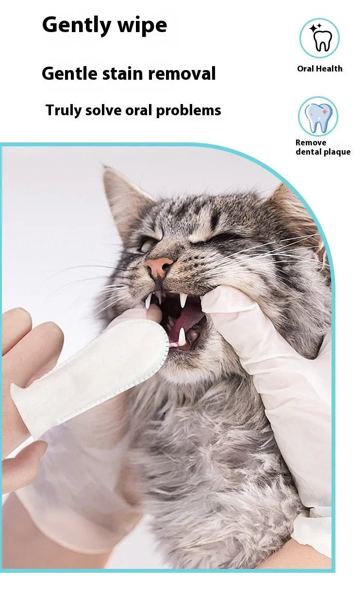 Pack of 50 white non-woven fabric pet dental finger cots for cleaning cat and dog teeth.