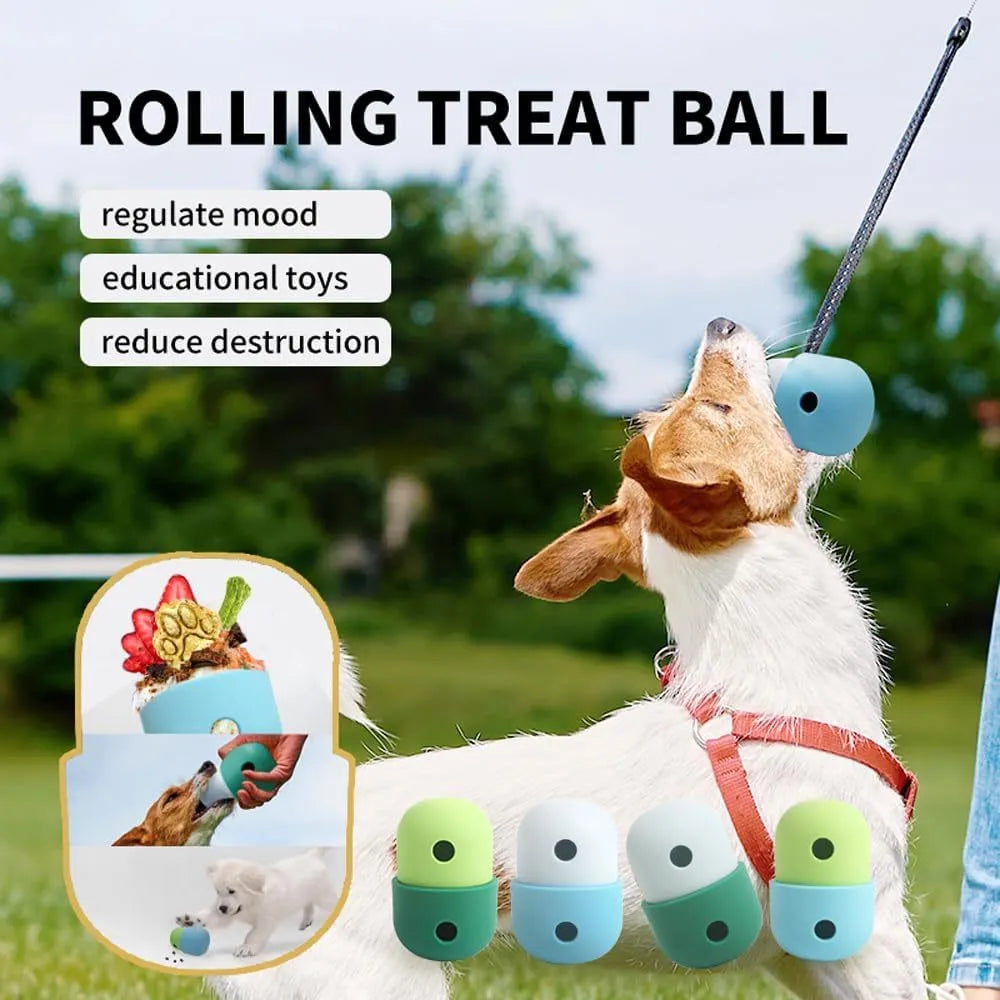 Colourful dog treat dispensing puzzle ball on a green background