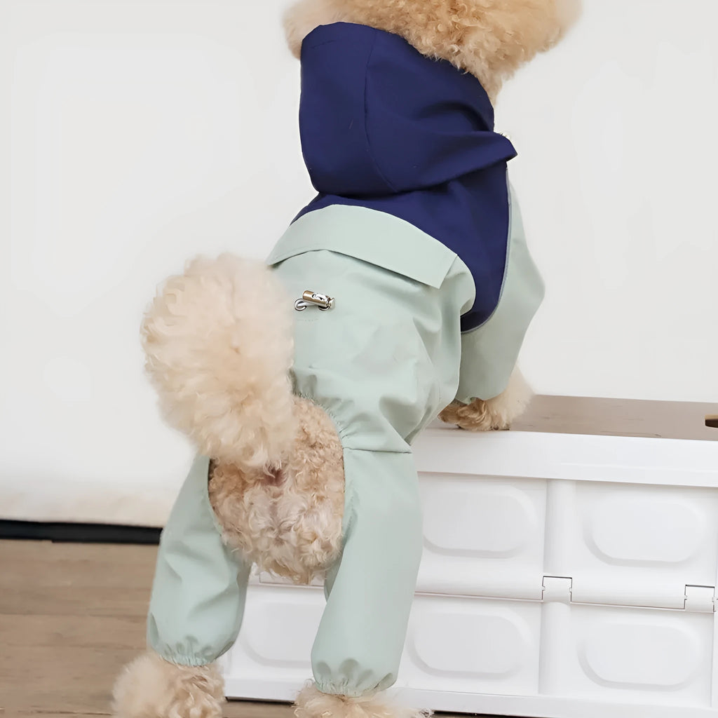 British style khaki coloured waterproof shell jacket on a small dog