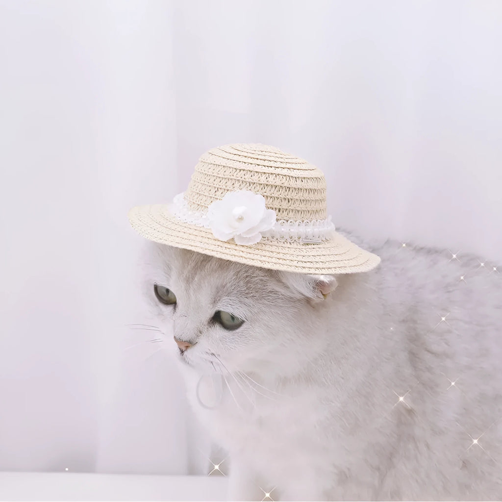 Handmade paper pet hat with a large bow on a dog, showing colour and cartoon style.