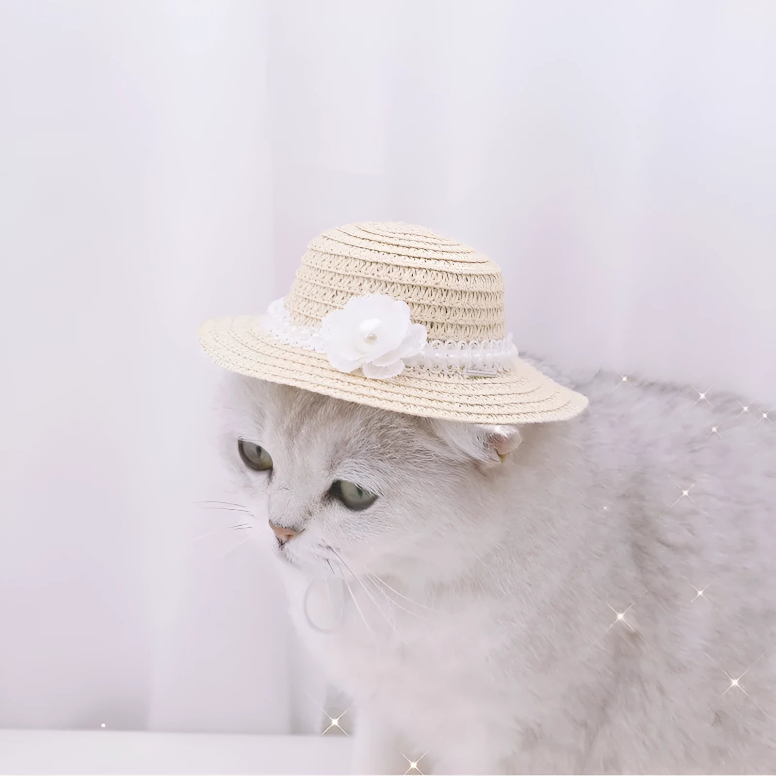 Handmade paper pet hat with a large bow on a dog, showing colour and cartoon style.