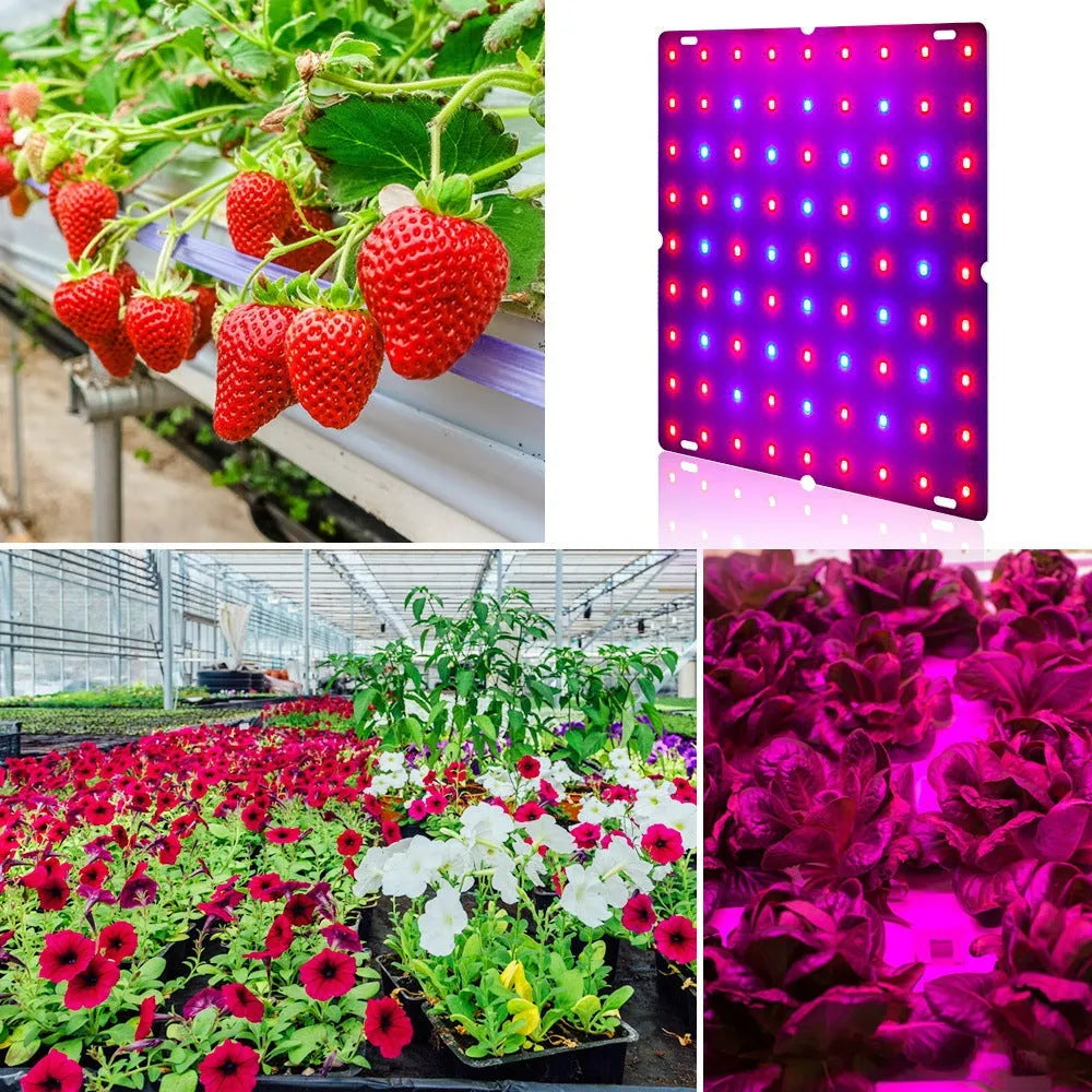 Silver aluminum hook-mount LED plant growth light for indoor fruits and vegetables