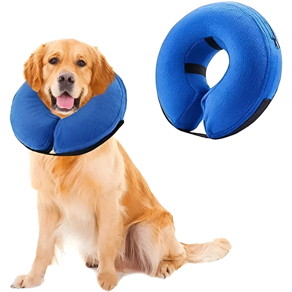 Inflatable soft pet recovery collar in blue with air valve, shown on surface