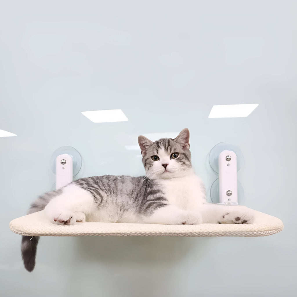Stainless steel cat hammock mounted on window with foldable design in grey mesh fabric
