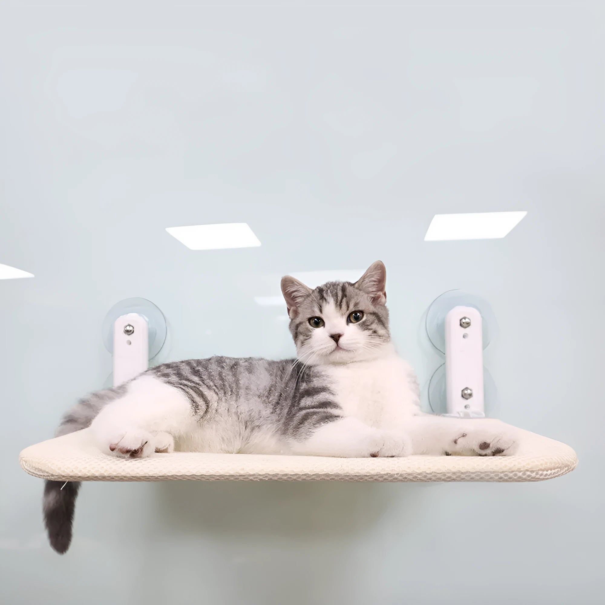 Stainless steel cat hammock mounted on window with foldable design in grey mesh fabric