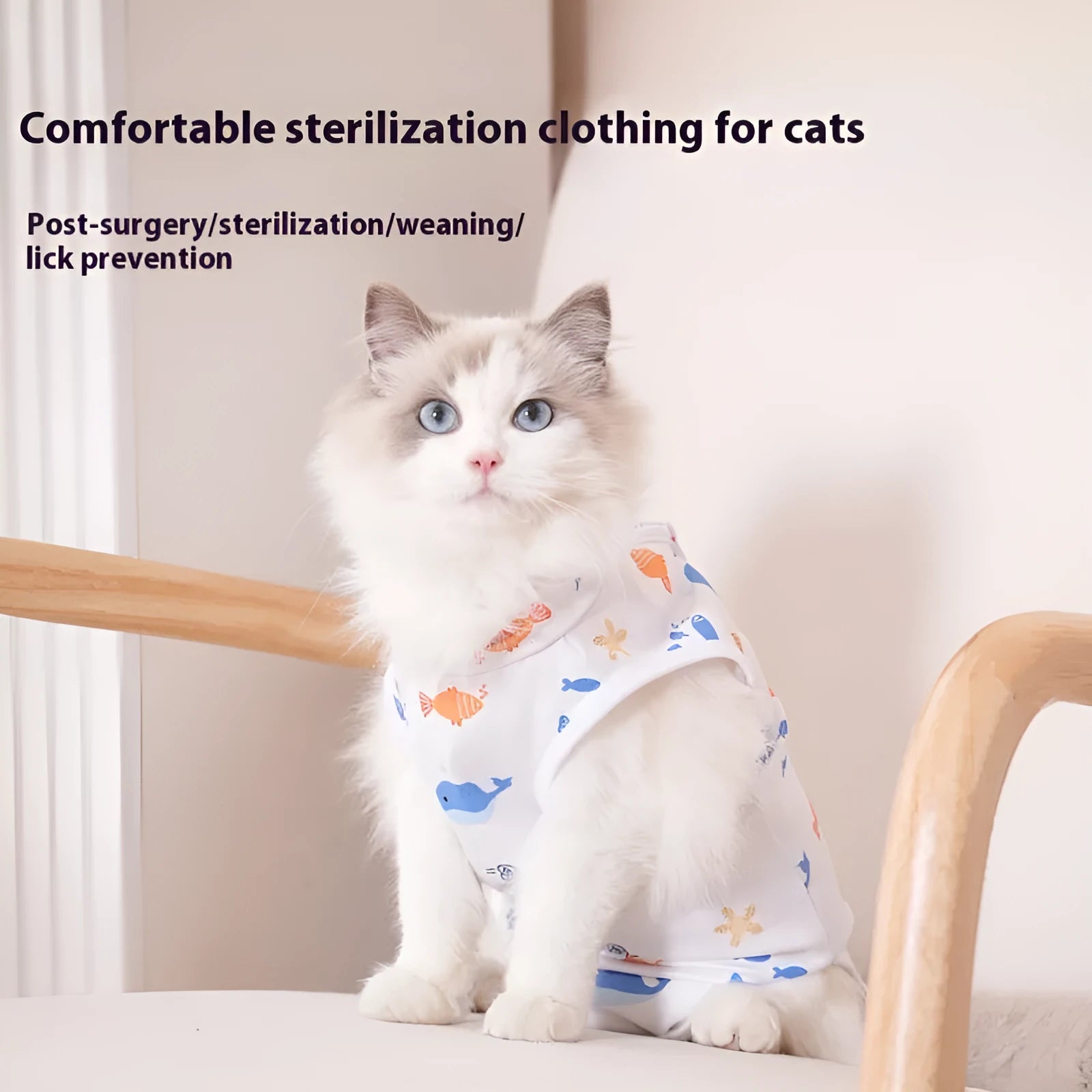 Cat wearing a polyester sterilisation recovery suit with hook-and-loop fastening on its back.
