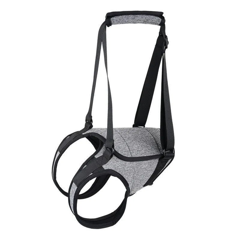 Neoprene dog recovery belt for rear leg support showing adjustable design and sizing options