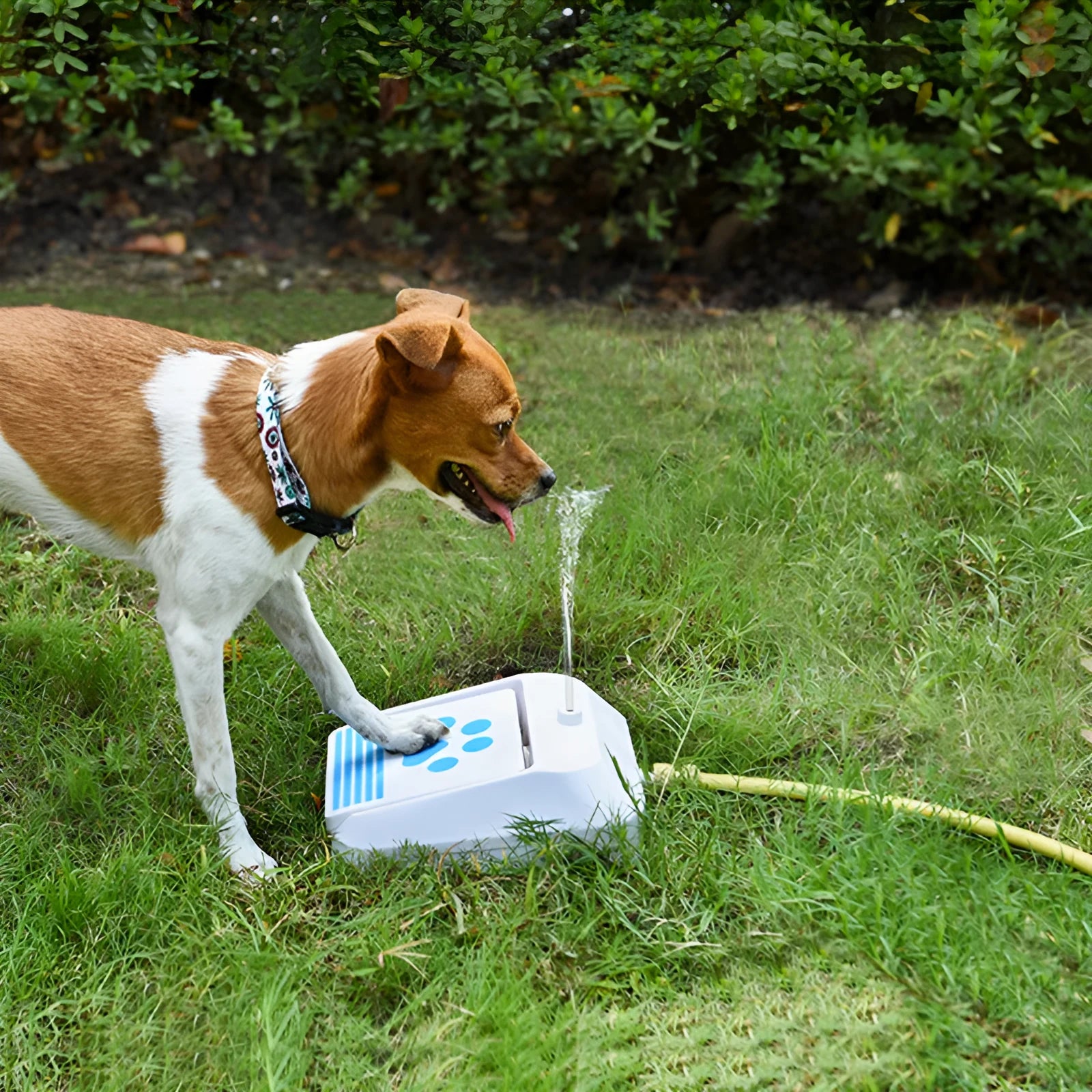 Outdoor automatic dog water feeder in white with iron and PVC construction