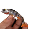 Two Luer Soft Lure artificial baits in fish colour with Fish T tails on a blue background